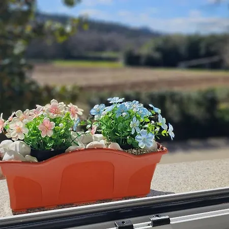 Holiday home Vacansis A Casa Do San Paio De Buscas Ordes