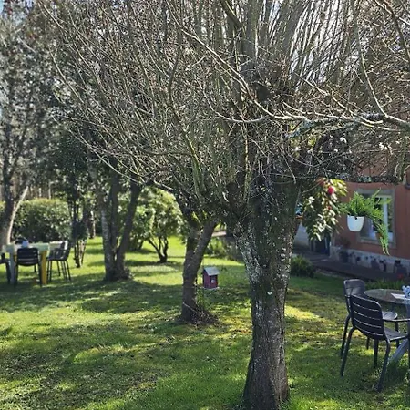 Vacansis A Casa Do San Paio De Buscas Holiday home Ordes